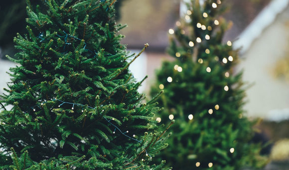 Real vs. Artificial Christmas Trees